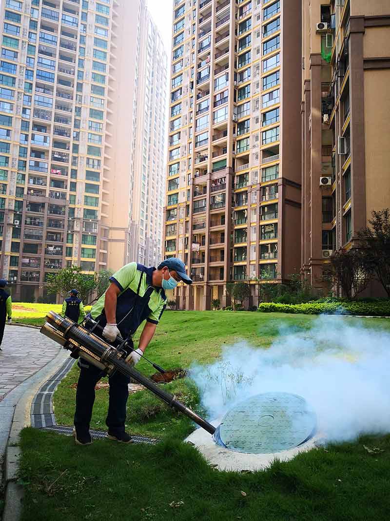 小區下水道滅蟑螂